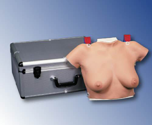 Breast Self-Examination Wearable Model/Simulator