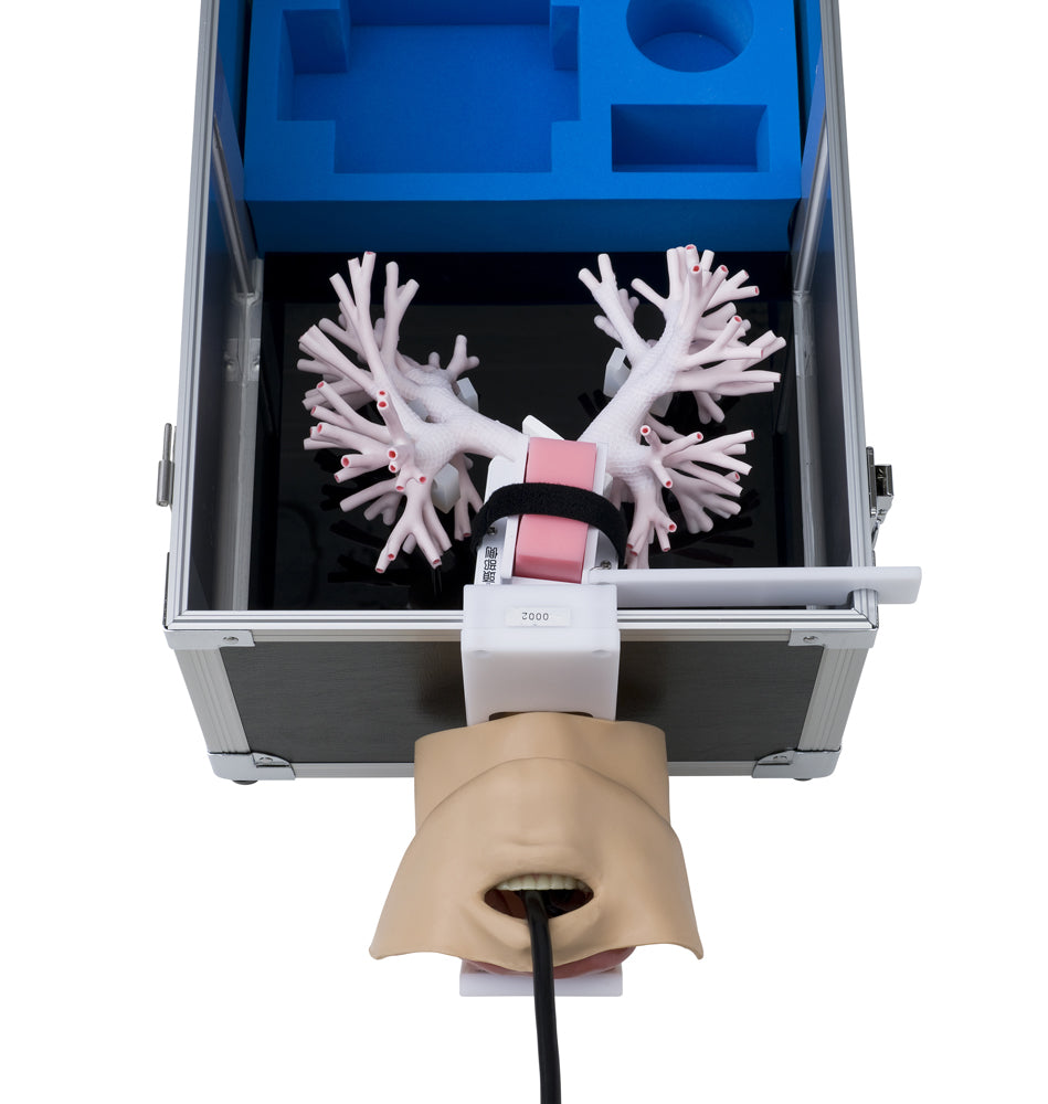 Ultrasonic Bronchoscopy - Endobronchial Ultrasound - Transbronchial Needle Aspiration Training  Simulator