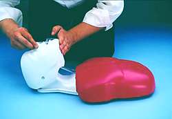 Deluxe CPR Training Manikin