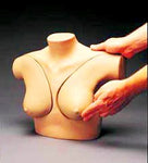 One Left Breast Model (Abnormal)