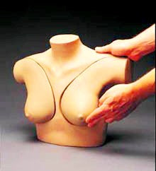 One Left Breast Model (Abnormal)