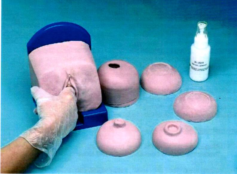 Cervical Dilatation Gynecology Examination Model Simulator