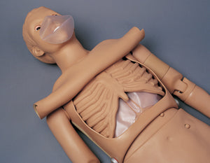 CPR Training Manikin Simulator Deluxe Full Body Life Support Adult Manikin