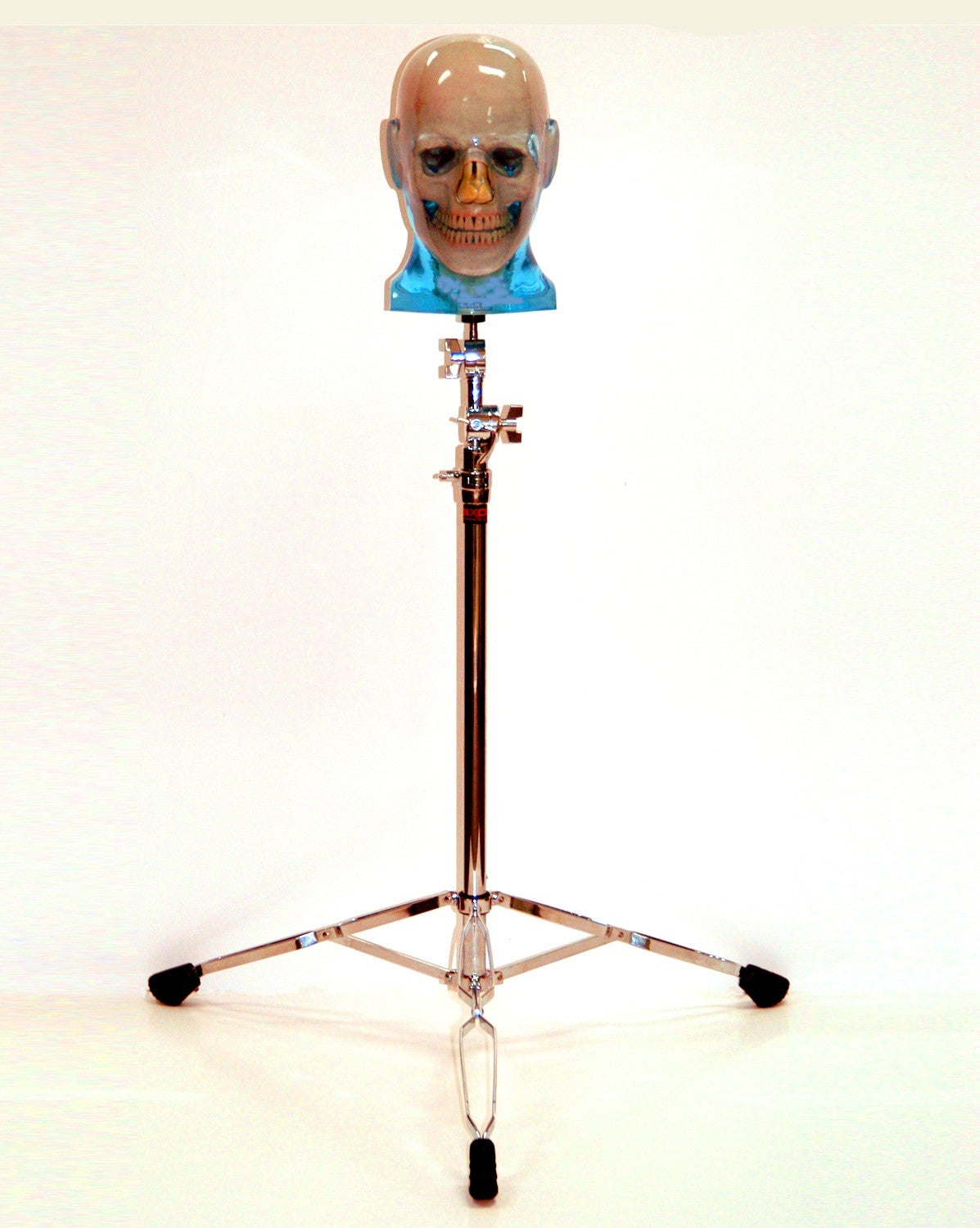 Maxillofacial Phantom Head & Dental X-Ray Cone Beam CT Panoramic Complete