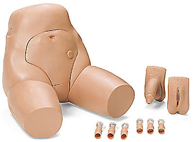 Urology Enema Catheterization Female / Male Simulator