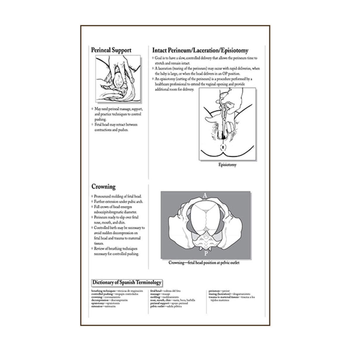 Process of Giving Birth Flip/Chart English& Spanish 12 full color pane ...