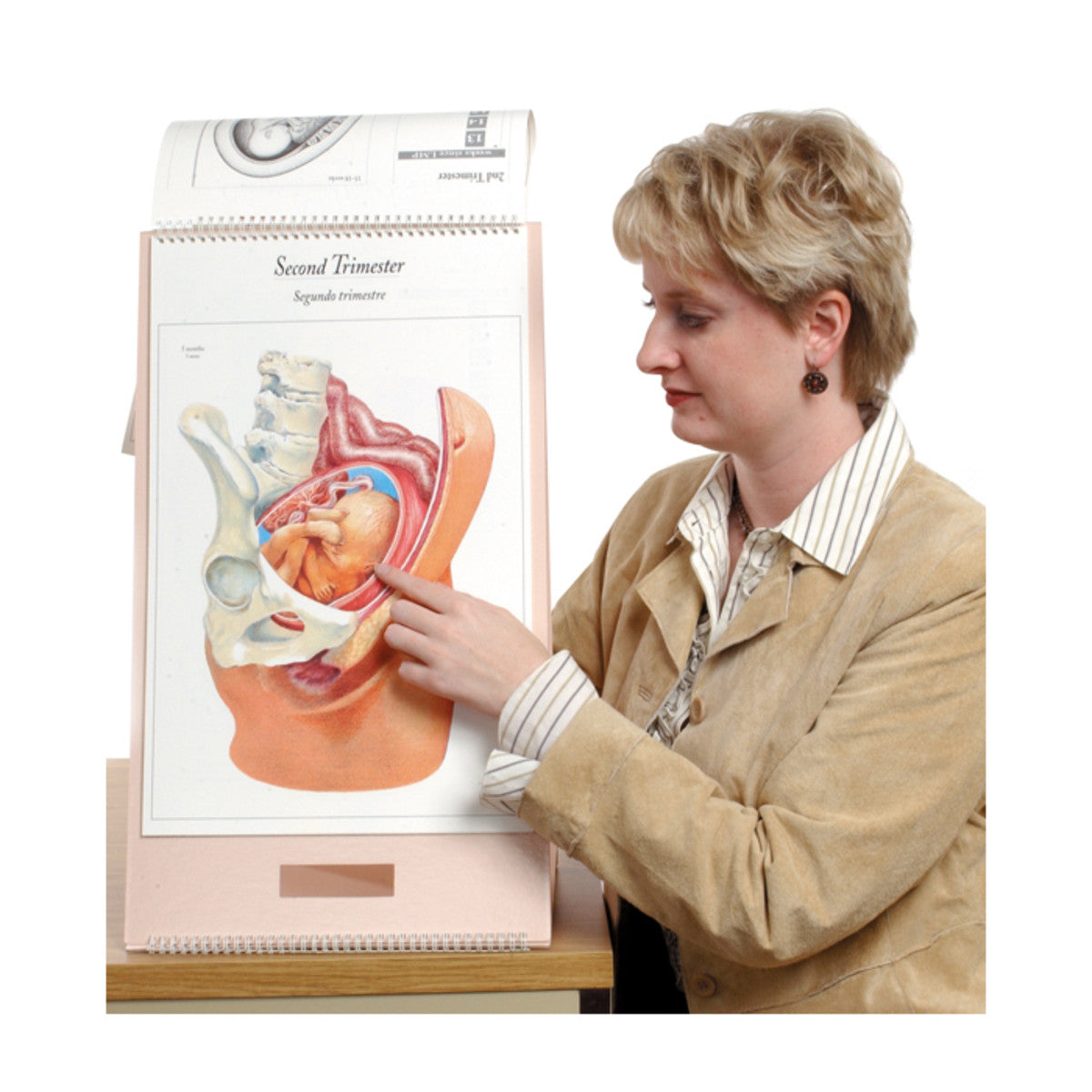 Process of Giving Birth Flip/Chart English& Spanish 12 full color pane ...