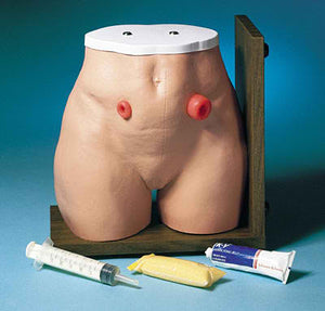 Ostomy Care Patient Training Simulator