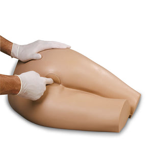 Rectal Examination Training Model Simulator Complete